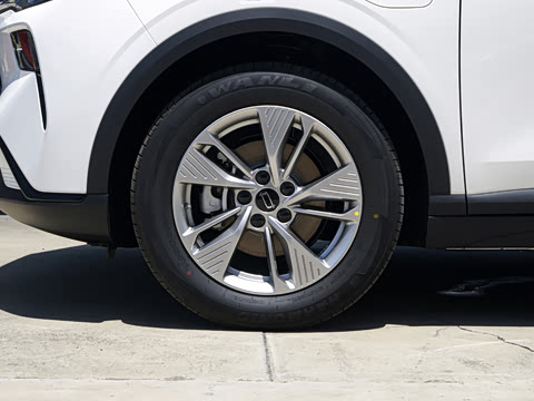 2026�� 565km ��ϲ��