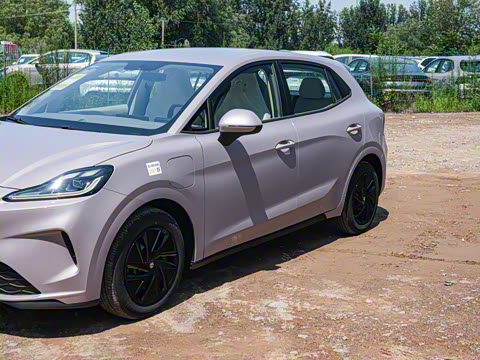 2026�� 437 ���İ�