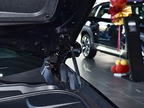 2026�� ����600 Pro�˶���