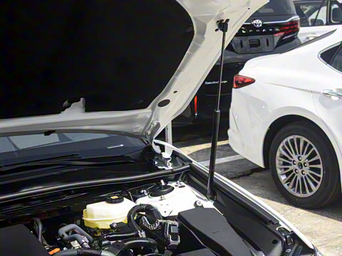 2026�� ˫�� 2.0HXS �˶�Plus��