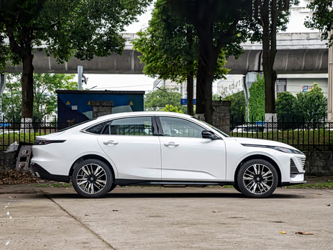 2026�� 1.5L �������� ������