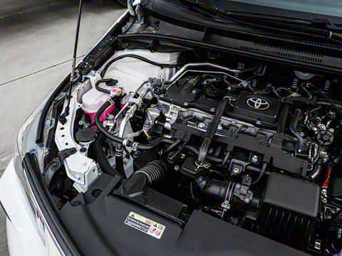 2025�� 1.8L ���ܵ��˫�� �ȷ��