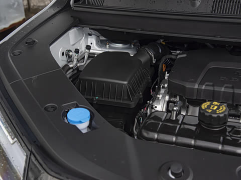 2025�� ��� 125km ������