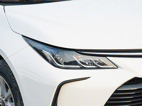 2025�� 1.2T ��Ӣ��