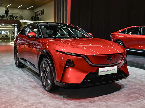 2026�� ����600 �����