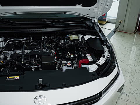 2026�� 1.8L ˫�� �ȷ��