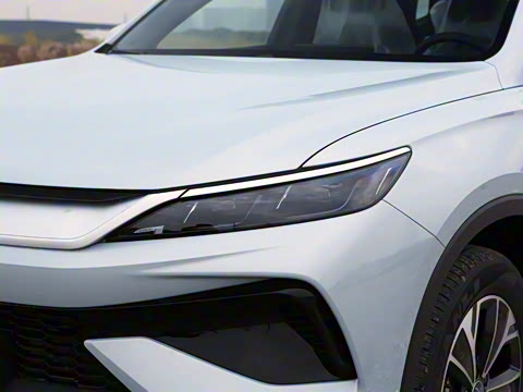 2026�� DM-i 133KM��ȡ��