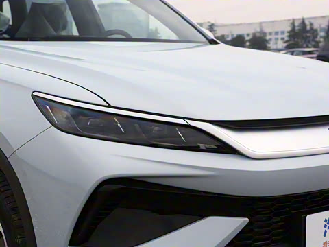 2026�� DM-i 133KM��ȡ��