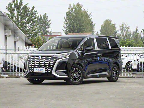 2025�� DM-i ��������