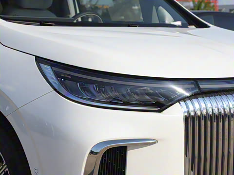 2025�� EV �������������