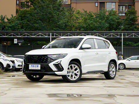 2026�� 280TSI �Զ�����Plus��