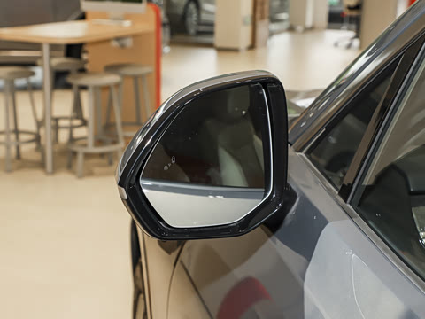 2025�� Pro ������