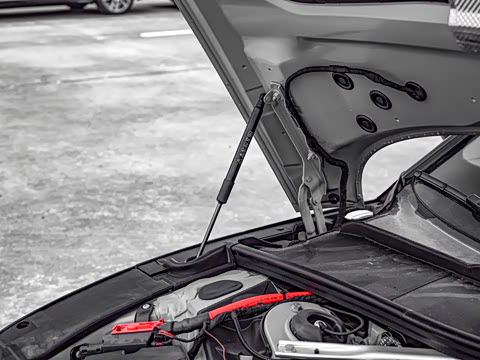 2025�� RS 5 2.9T Sportback ȼ���