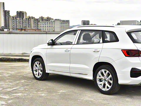 2026�� 280TSI �Զ��ȷ��