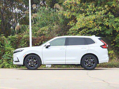 2026�� ȫ��30����ҫ�� 2.0L e:HEV ���������