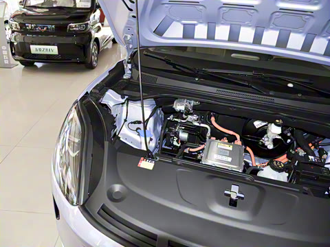 2025�� 430km ������