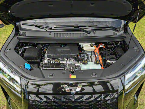 2025�� ��� 125km ������