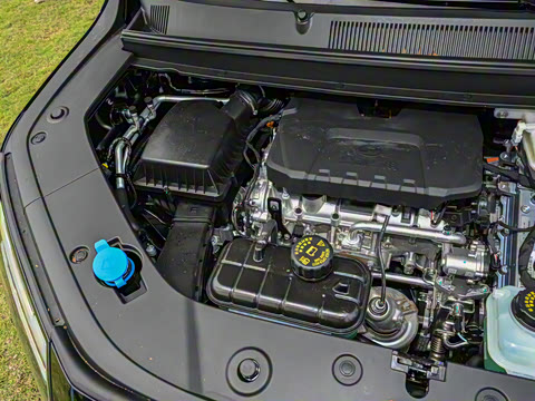 2025�� ��� 125km ������