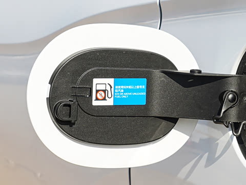 2026�� DM-i 220KM��Խ��