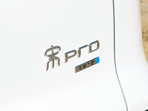 2026�� DM-i 220KM��Խ��