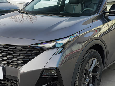 2026�� Ӱ�� 270T ������ ƽ������