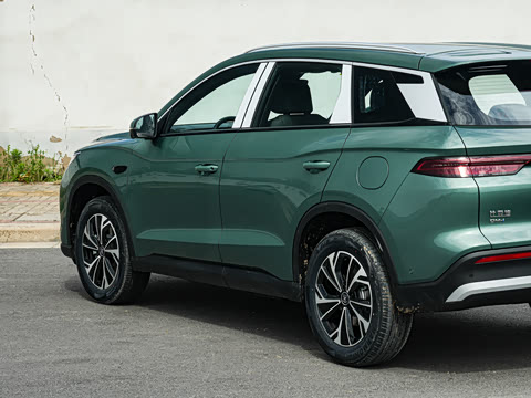 2026�� DM-i 133KM��Խ��