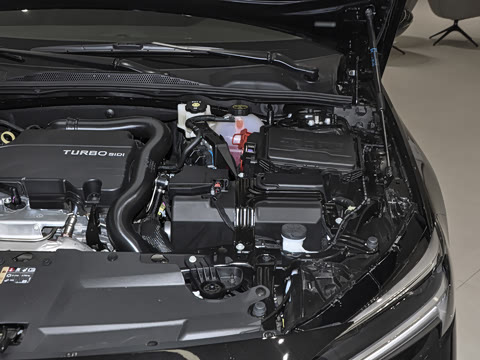 2025�� 25T ������