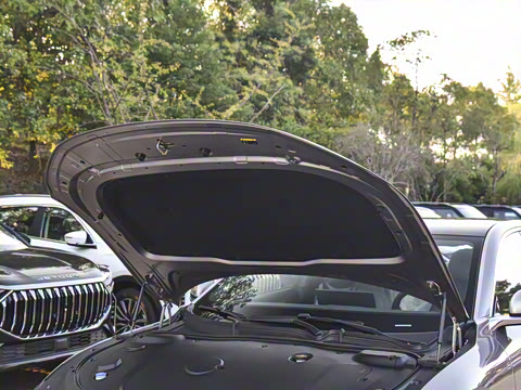 2026�� ������������� 730������