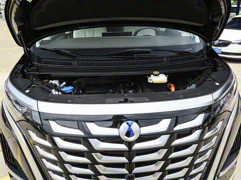 2025�� DM-i ��������