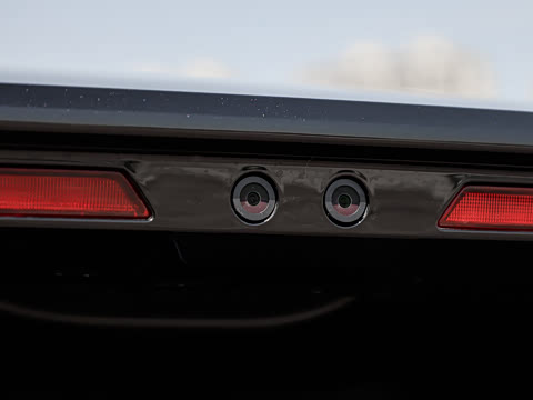 2026�� Max ������