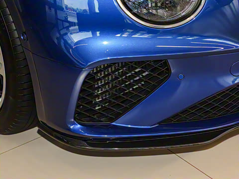 2024�� 4.0T GT V8