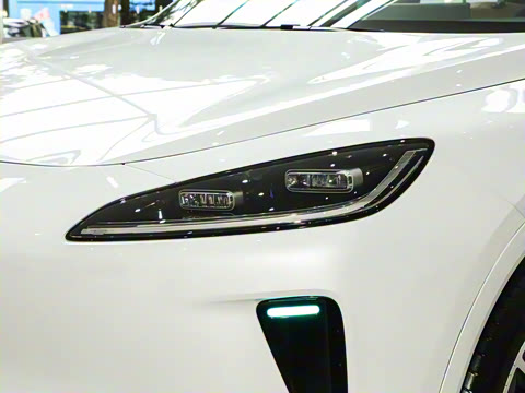 2025�� ���� Max