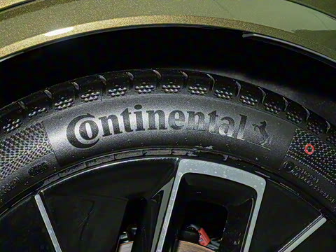 2026�� Max+ �����