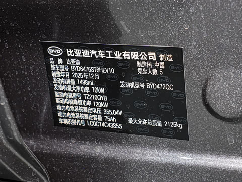 2026�� DM-i 220KM׿Խ��