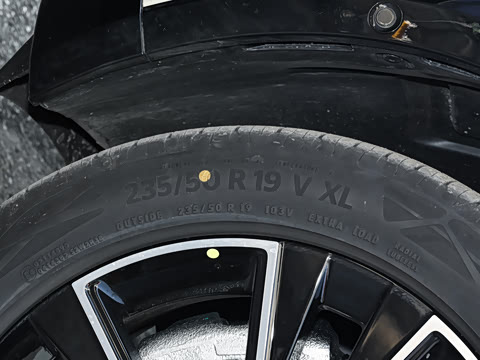 2026�� Max������