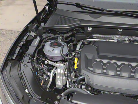 2026�� ���ڿ� 380TSI ��ҫ��