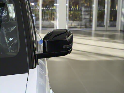 2025�� 520���������