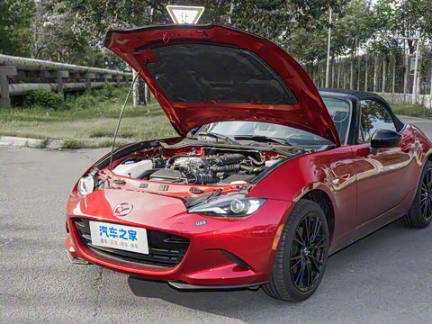 2025�� �ֶ��������� ī�����