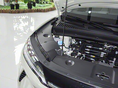 2025�� 301KM �캽��