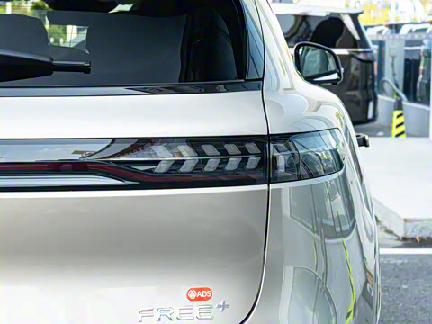 2025�� FREE+ ����Ǭ����