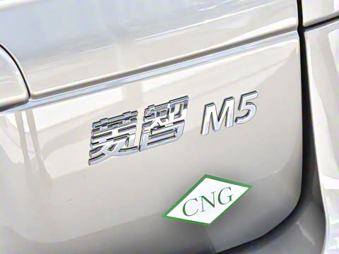 2025�� M5 1.6L ��׼��5��CNG