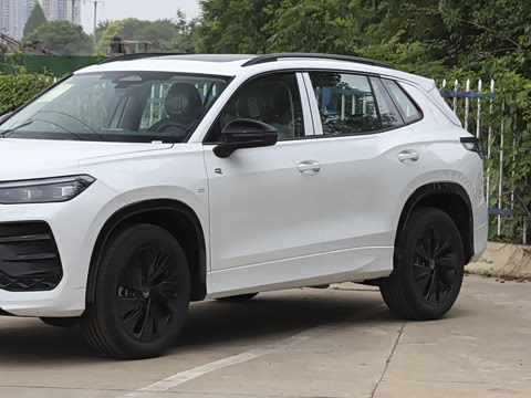 2026�� �Ŀ� ̽��L 300TSI ������Ӣ
