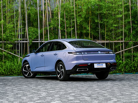 2026�� 1.5L �������� ������