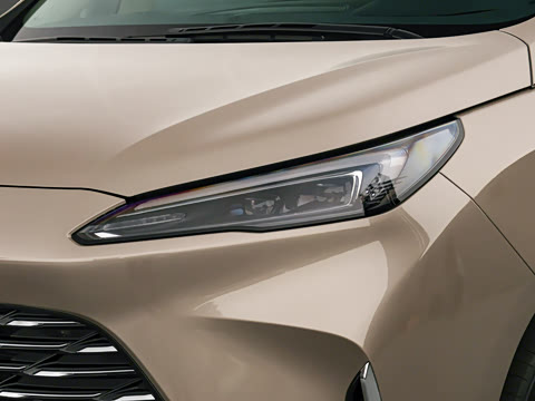 2025�� ½�� ������ 7��