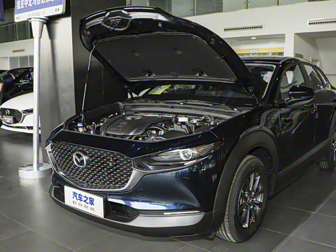 2025�� 2.0L �ֶ�������