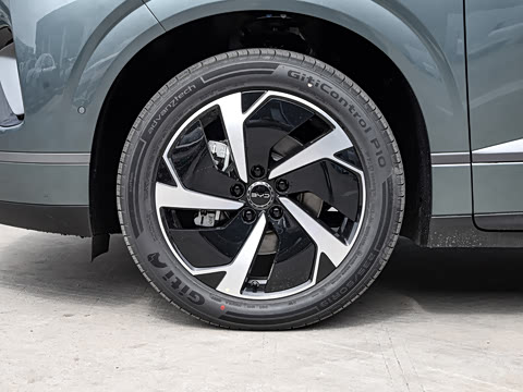 2025�� DM-i 170�캽Plus��