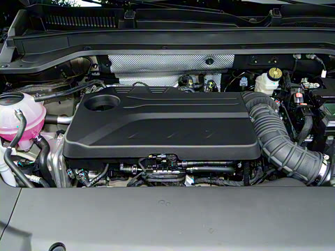 2026�� 9X 2.0T �Զ����������