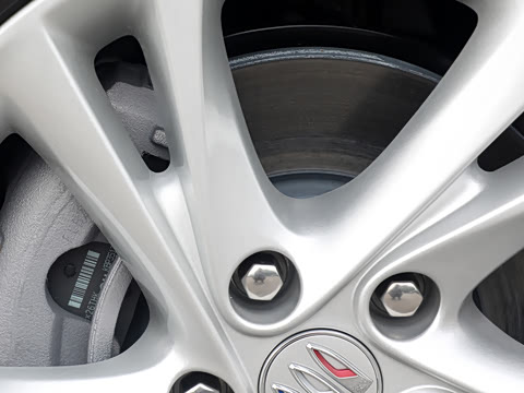 2025�� 25T ������