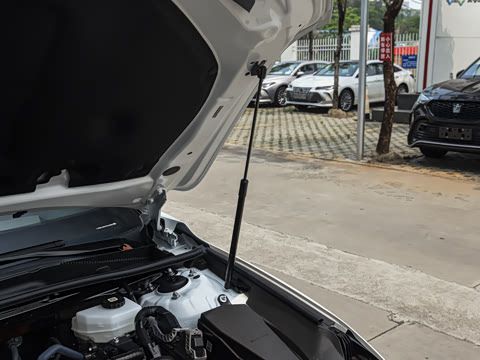 2026�� ˫�� 2.0L ����