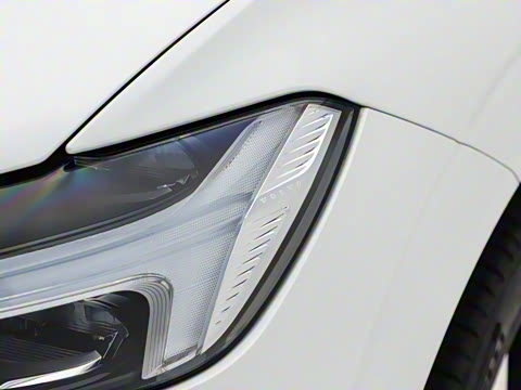 2026�� ���ʽ�춯 �������������ź�����